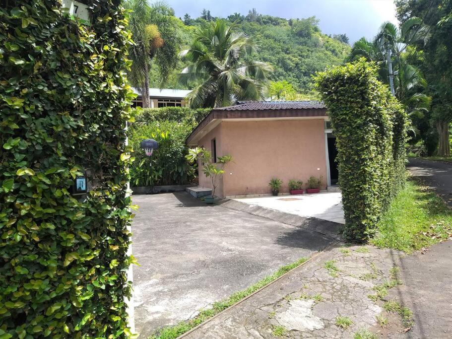 Vacation House In Tahiti Punaauia  Zewnętrze zdjęcie
